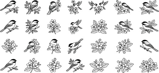 Botanical Chickadee Bird and Apple Blossom Line Art Icon Set with Spring Floral Branches, Tree Leaves, and Vintage Garden Vector Graphics © MdSirazul