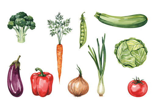 Watercolor vegetable set with mixed green produce and kitchen ingredients isolated on white.