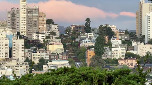 San Francisco, USA - September 10, 2025: Early morning view from Telegraph Hill overlooking Russian Hill and downtown San Francisco. Soft morning light highlights the city's iconic urban skyline.