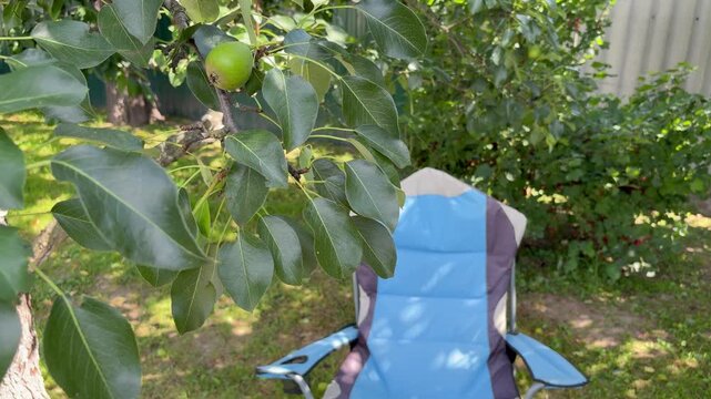 Camping chair sits empty on the grass in a peaceful backyard garden, suggesting a relaxing summer day. Relaxing summer day.