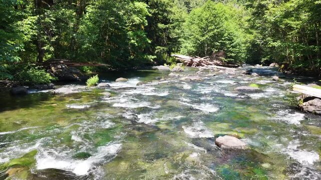 Clear water flows down the Clackamas River in Northwestern Oregon, not far from Salem. Originating in the Mt. Hood National Forest, this beautiful 83-mile river is a tributary to the Willamette River.
