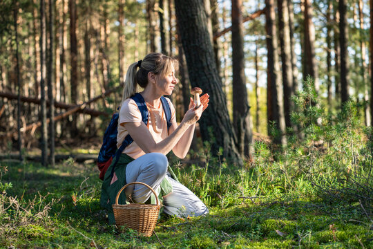 Happy woman forager picking mushrooms in forest, holding highly prized boletus mushroom in hands, positive female harvesting porcini for culinary purposes, popular natural food ingredient in cuisines.