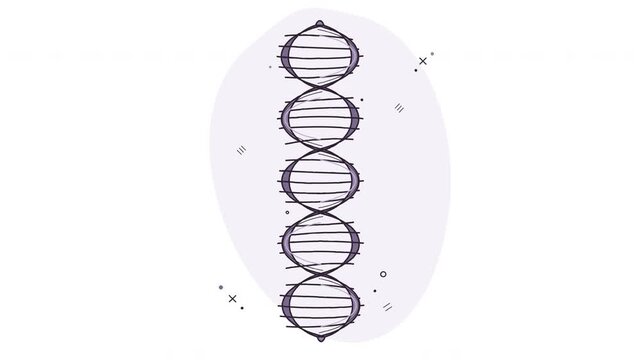 DNA Strand Double Helix 3D Spin Hand Drawn Animated Illustration Loop