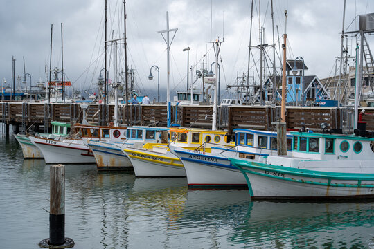 San Francisco, USA - September 09, 2026: Colorful fishing boats moored at Fisherman's Wharf. A classic waterfront scene beneath dramatic clouds reflecting the city's rich maritime heritage.