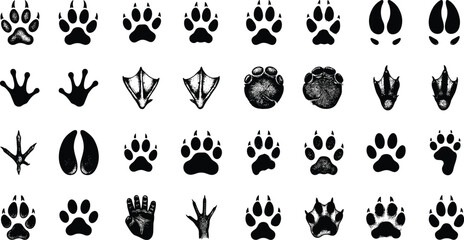 Collection of Various Animal Footprints and Wildlife Paw Prints for Nature Design Projects © IconicCreations