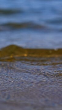 Slow waves come up to the sandy shore. Close up view on the river bank on sunny day. Vertical video