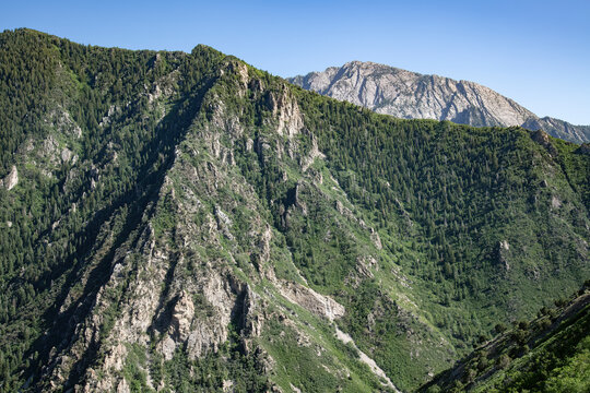 Mount Olympus and the Millcreek Canyon wall, Wasatch Range, Utah 