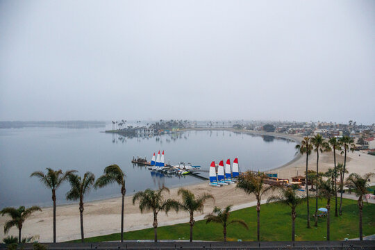 Wee hour at Sail Bay in San Diego, California featuring a sandy beach, palm trees, and docked sailboats