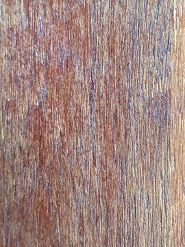 old wood texture. Defocused view of old wooden texture for background, copy space for text