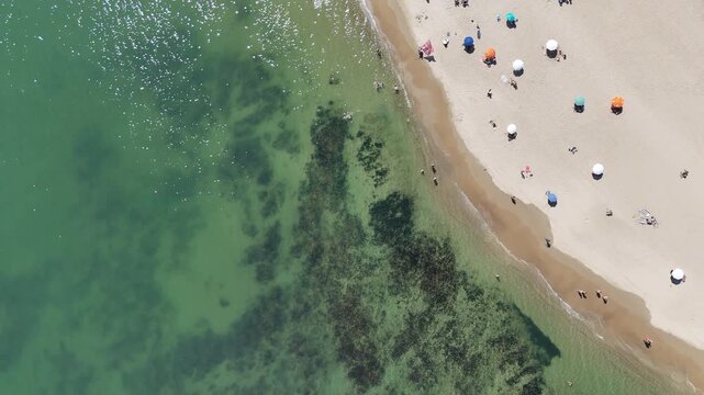 Top-down drone view of beach umbrellas, sunbathers and crystal-clear water along a sandy beach in Punta del Este, Uruguay, on a sunny summer day.
