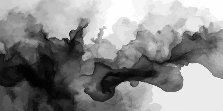 Ethereal Smoke Swirls A captivating monochromatic abstract depicting swirling smoke or ink clouds in motion, evoking a sense of mystery and fluidity against a stark white background.