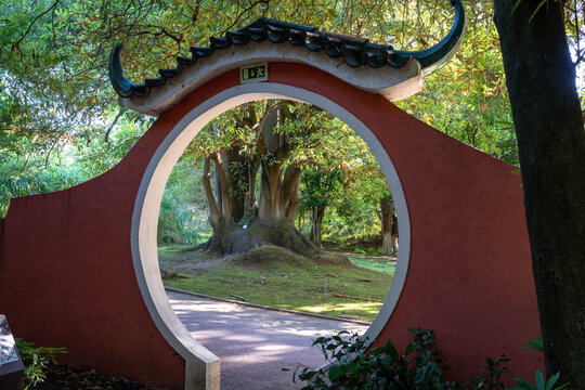 Looking Out of an Entrance to the Japanese Garden in Lisbon Portugal at a Large Tree Jardim Botanical Garden
