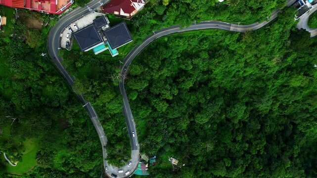 Bright daytime aerial footage capturing the zigzag road harmony between contemporary architecture, landscaped gardens, mature trees, zigzag rand surrounding residential properties in Batangas.