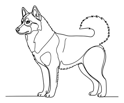 Siberian Husky dog continuous line drawing, minimalist malamute vector illustration, one line art of nordic sled dog breed for adventure logo