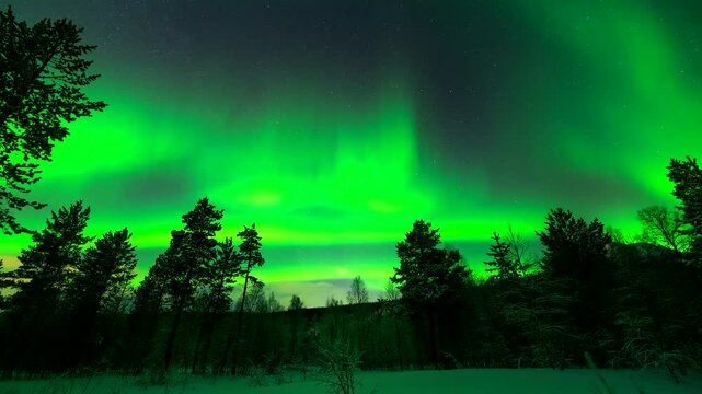 Time lapse upward view from snowy forest of green aurora borealis in night sky
