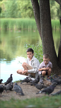 Two boys feeding pigeons with bread in a park by the lake. They sit on the grass under trees enjoying a peaceful summer day with birds around them in nature.