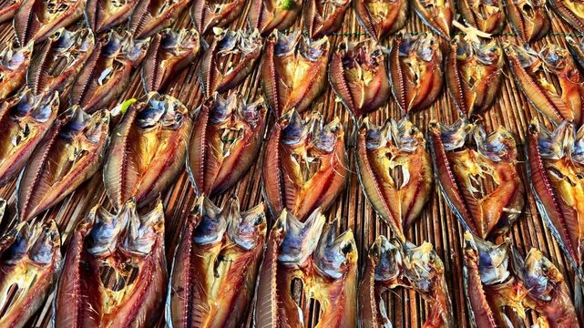 Closeup of dried fish neatly arranged in rows for drying or sale.