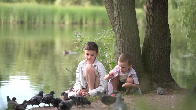 Young boys feeding pigeons bread by the lake in a peaceful park. Sitting on the grass under trees on a sunny summer day as birds gather around.