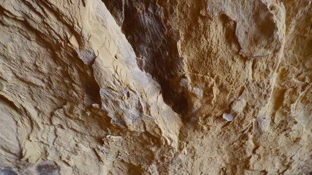 Fossilized texture preserved in sedimentary rock from ancient deposits, signature cave ceiling, pan overview