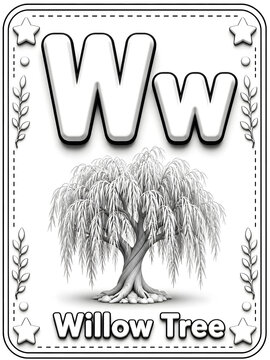 Black and white coloring page flashcard featuring the letter w and a detailed willow tree with decorative borders