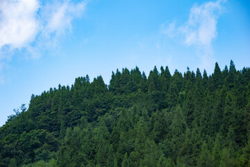 Dense green forest covers the mountain landscape in the Three Gorges Reservoir Area of China under a clear blue sky on a sunny summer day © AS_SleepingPanda