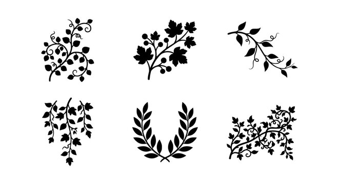 Botanical Vector Ornaments, Laurel Wreath, Leafy Branches, Decorative Flourishes