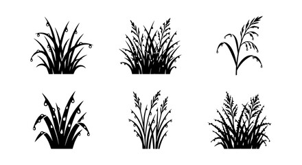 Black Grass Silhouettes, Dew Drops, Nature Elements, Vector Set © MONIKA