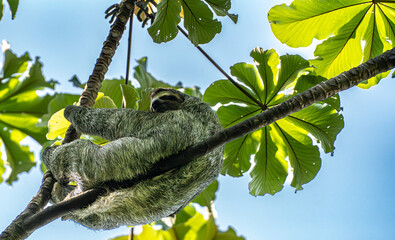 Costa Rica: Where Rainforest Meets the Sea © Liberty Call Media