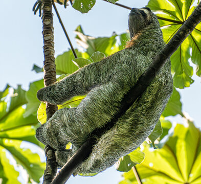 Costa Rica: Where Rainforest Meets the Sea