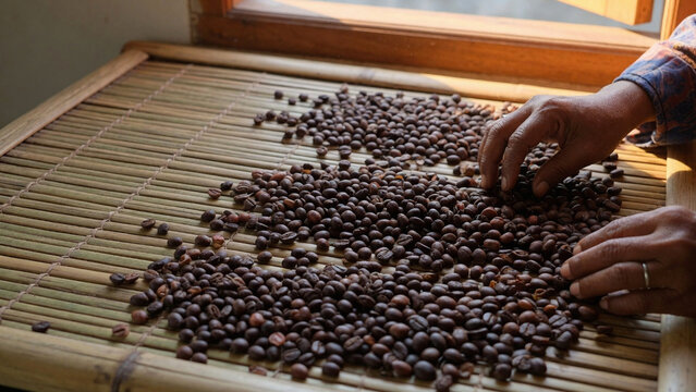 A person is sorting coffee beans on a bamboo mat indoors.