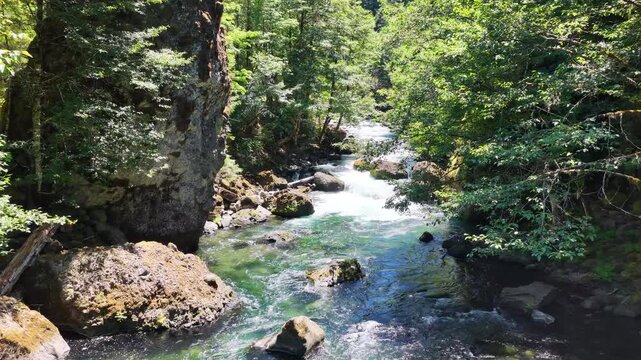 Clear water flows down the Clackamas River in Northwestern Oregon, not far from Salem. Originating in the Mt. Hood National Forest, this beautiful 83-mile river is a tributary to the Willamette River.