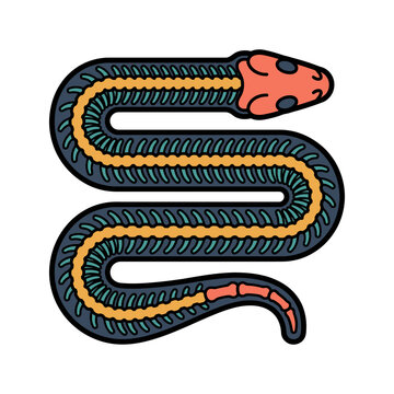 Snake Reptile Spine X-Ray Icon for Zoology