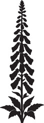 Obraz premium Vintage foxglove flower silhouette vector, botanical digitalis plant illustration, black floral garden element for wedding invitations