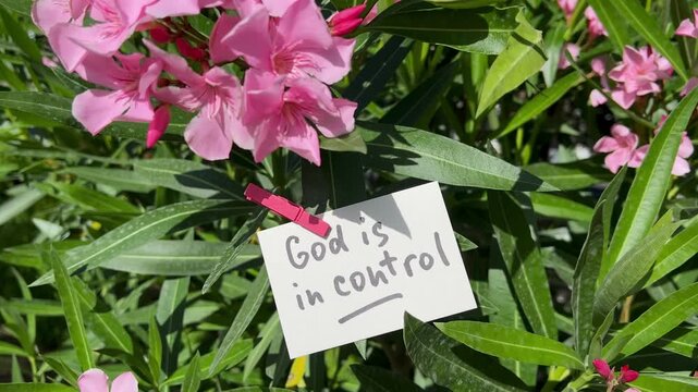 God is in control - christian text with pink flowers and wind outdoors, biblical concept