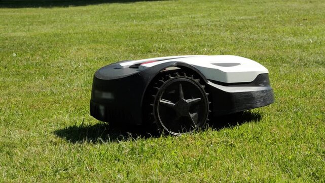 Robotic lawn mower cutting green grass