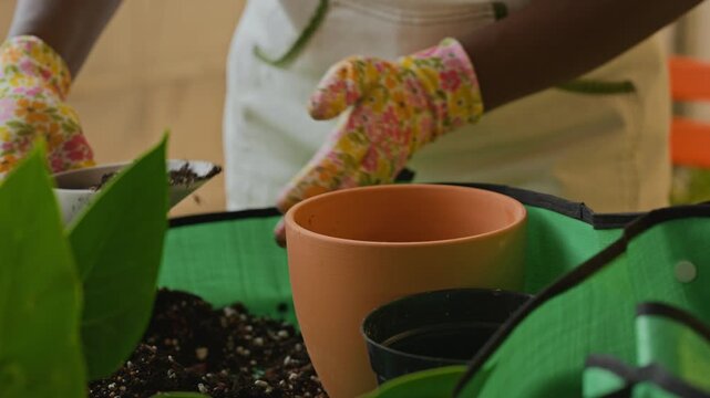 African American woman wearing floral gloves scooping soil into terracotta pot. Footage ideal for gardening tutorials, home lifestyle commercials, and plant nursery marketing