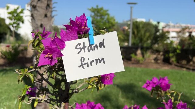 Stand firm - christian motivational text with pink flowers in background, biblical faith concept