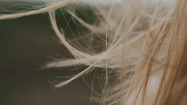 Extreme close-up showing light-blond hair strands and loose wisps blowing leftward across negative space while lower face and slightly parted lips appear at right edge