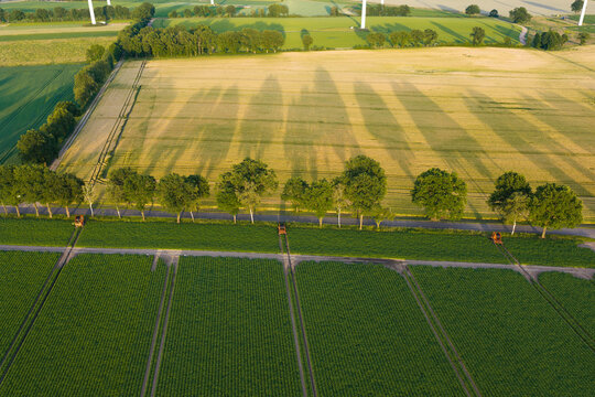 Crop plantation at farm. Agriculture and cultivation. Aerial top view on green crop field. Nature environment. Green harvest in field. Summer green field. Agricultural aerial landscape