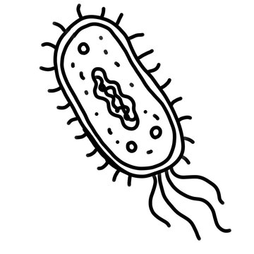 Hand drawn bacteria doodle icon isolated on white background. Minimal black outline bacterium illustration for microbiology, biology, healthcare, laboratory research, medicine, science, infection, edu