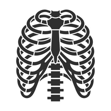 Isolated black silhouette of a human rib cage and sternum on a white background, medical illustration