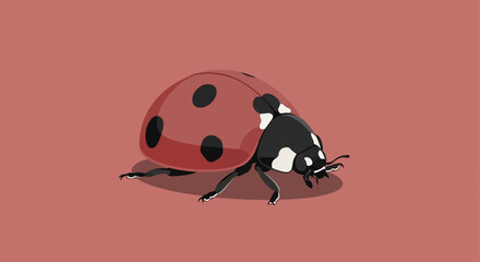 Close-up illustration of a ladybug on a plain background. © Ikbalizt