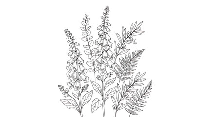 Vintage botanical line art, hand drawn wildflower bouquet with foxglove and fern leaves, black and white floral vector illustration © Rafay