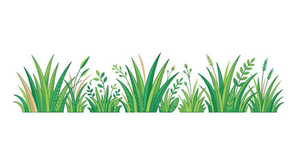 Green Grass Border Vector Illustration © Surya