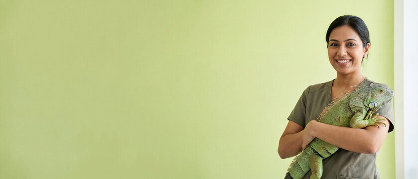 Smiling female south asian veterinarian holding large green iguana on green background, panoramic veterinary banner with copy space for text - Exotic pet care and reptile health