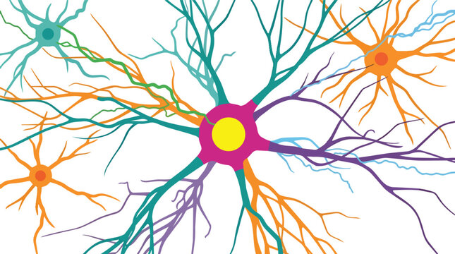 Neural cell pathways with multicolored dendrites and synaptic nodes vector graphic for cognitive science education
