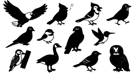 Obraz premium Colorful North American Bird Cartoon Character Set with Twelve Unique Wildlife Vector Illustrations Isolated on White Background