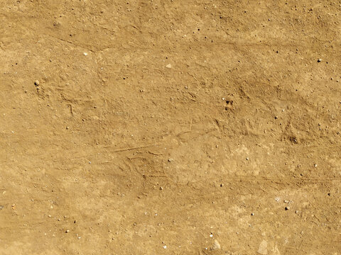 Dry sandy soil texture field overhead background