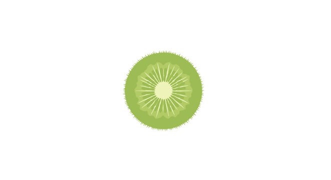 Fresh green kiwi fruit slice.