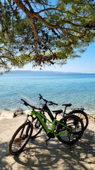 Fototapeta premium Vertical open shot of two modern e-bikes standing in the shade of a pine tree on a coastal path next to transparent crystal clear turquoise sea water in Croatia.